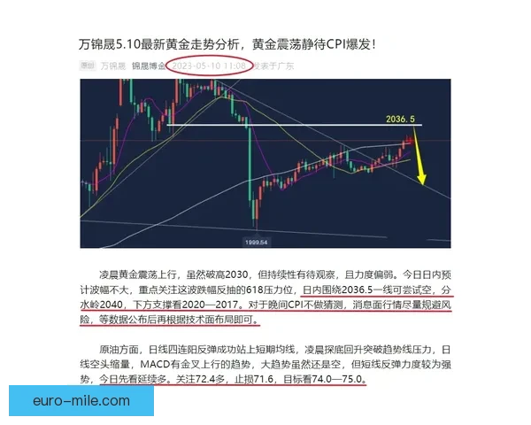 从整体实力差距透视各大联赛竞争格局与发展趋势分析演变路径研究